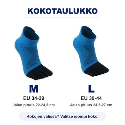 Kokotaulukko: M ja L